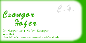 csongor hofer business card